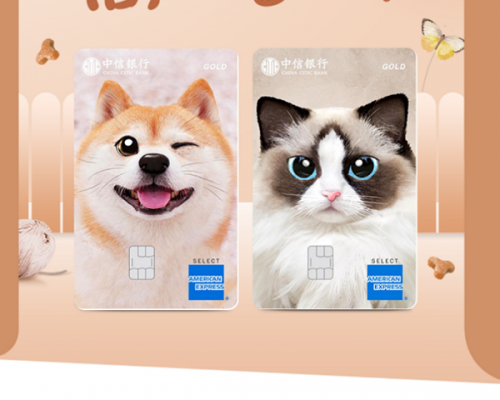 爱宠“有温度” 中信银行宠物主题信用卡首发上线