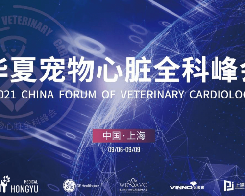 顶尖宠物心脏科专家医师齐聚上海竑宇，助推宠物心脏专科发展