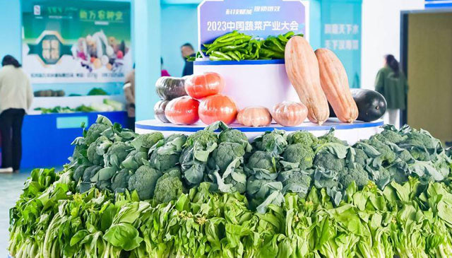 中国蔬菜产业大会召开，金额达18亿元的蔬菜供应项目在汉寿签约