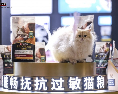 破解对猫过敏难题，冠能畅抚猫粮本土化新品重磅上市